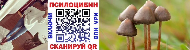 Галлюциногенные грибы мицелий даркнет сайт Яровое